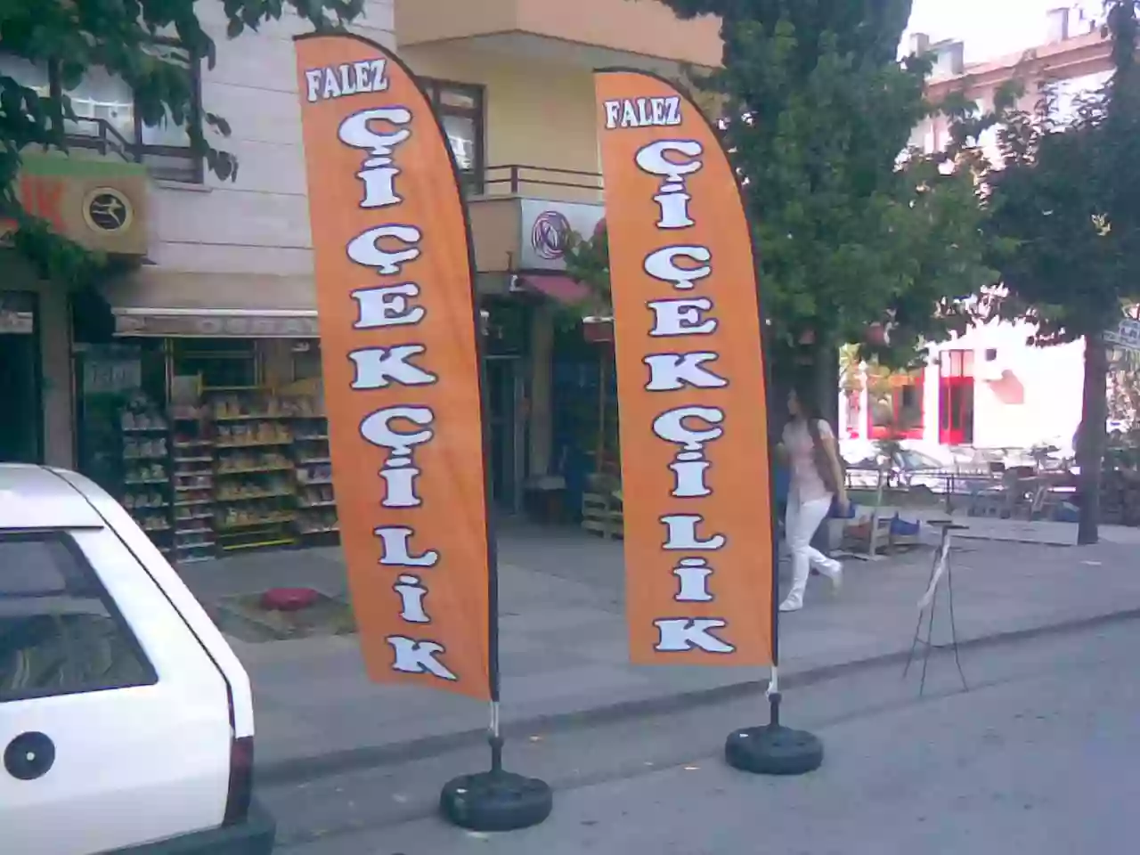 ithal-bitkiler-olta-bayragi